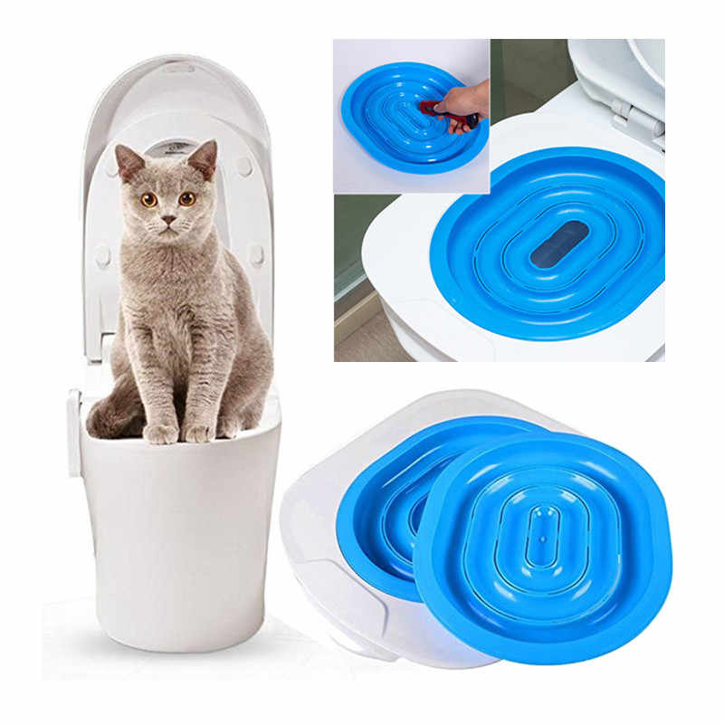 Cat human outlet toilet