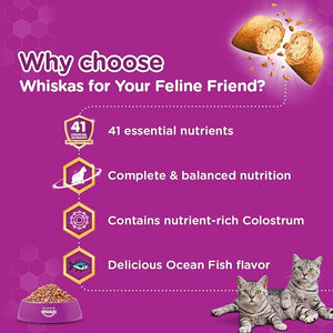 Whiskas Kitten - Ocean Fish Dry Cat Food