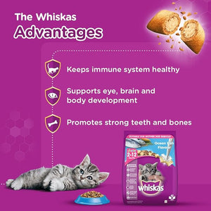 Whiskas Kitten - Ocean Fish Dry Cat Food