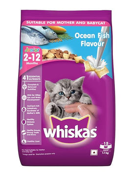 Whiskas Kitten - Ocean Fish Dry Cat Food