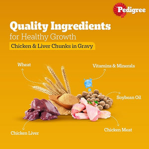 Pedigree Adult - Chicken & Liver Chunks in Gravy