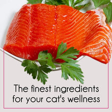 Load image into Gallery viewer, Purepet Adult Cat Dry Food Tuna &amp; Salmon Flavour
